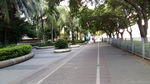绿化小路