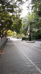 绿荫小路