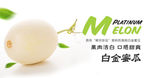 白金蜜瓜