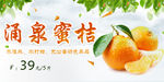 涌泉蜜桔