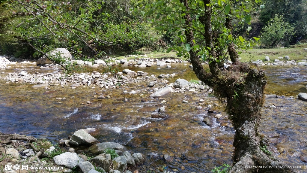 河流    美丽河流