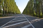 公路 对称