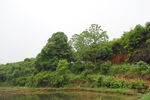 田野