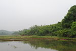 田野