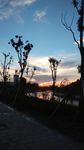 夕阳