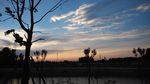 夕阳