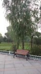公园风景