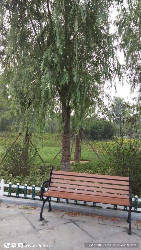 公园风景