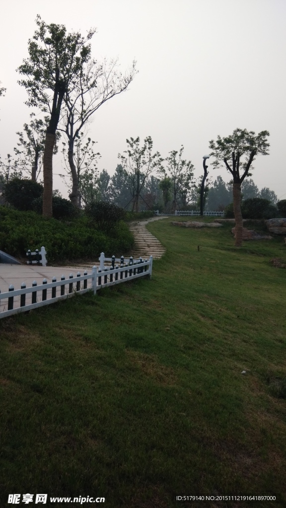 公园风景