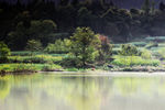 田园小景