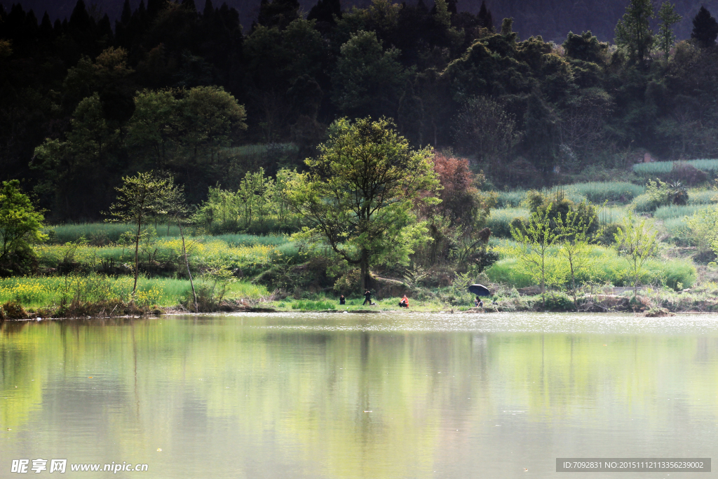 田园小景