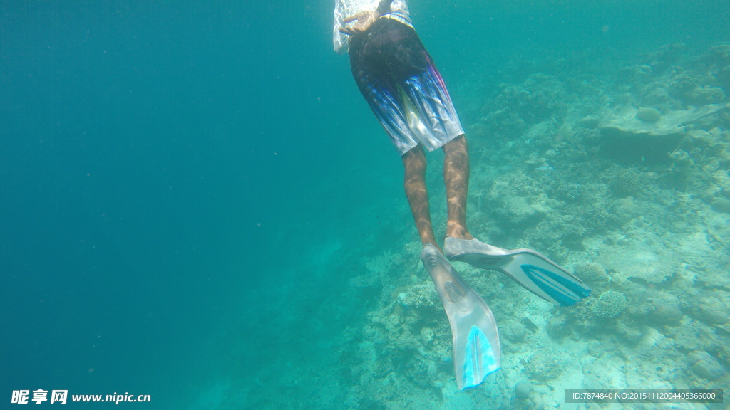 马尔代夫海底世界