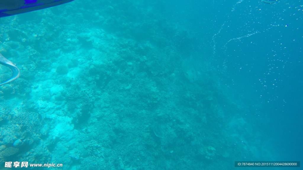 马尔代夫海底世界