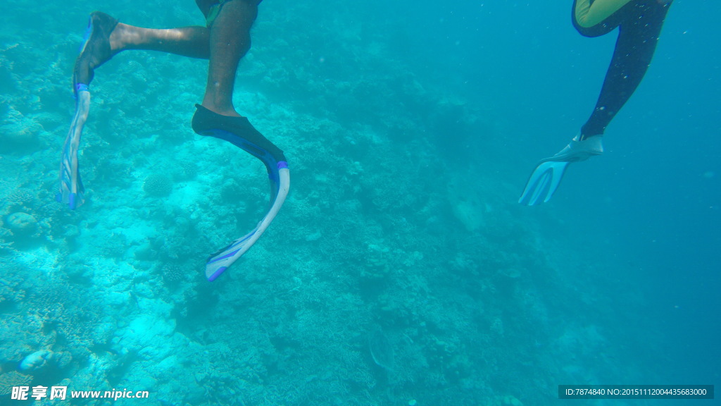 马尔代夫海底世界