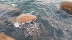 海边礁石