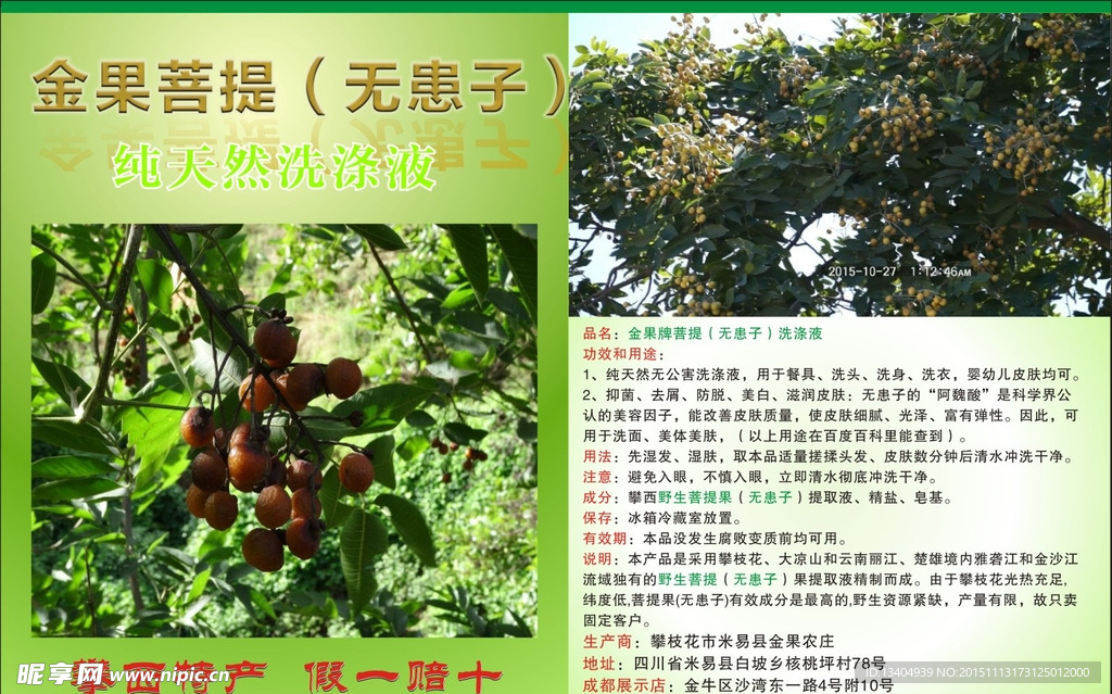 菩提