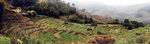 田园风光全景