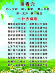 排毒穴