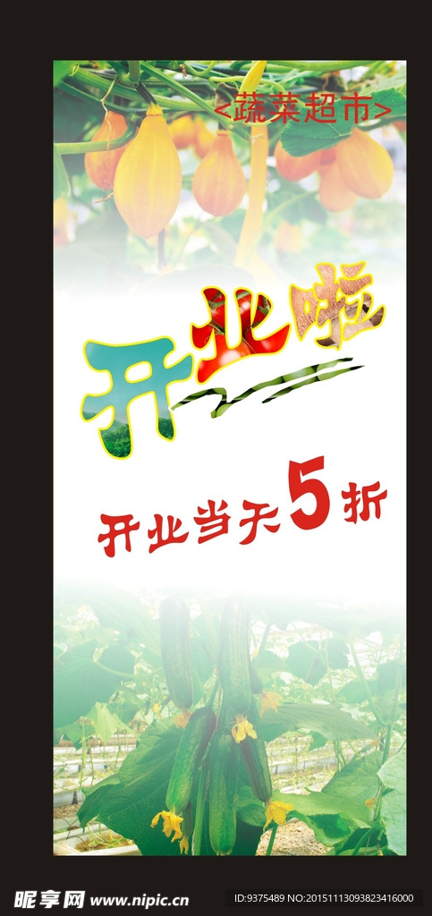 蔬菜展架