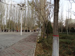公园小路