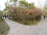 岔路口