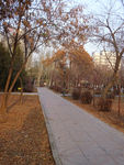 十字路口