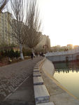 小路