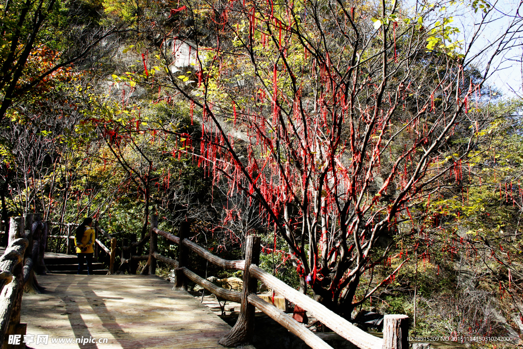 深山许愿树