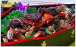 皮蒜驴肉