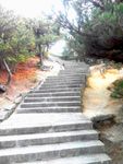 山梯