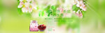 春季养生banner设计