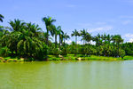 湖边风景