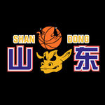 山东火牛篮球队logo