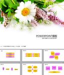 鲜花PPT  唯美PPT
