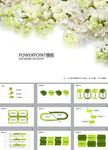 清新PPT   简约PPT