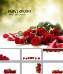 情人节PPT   鲜花PPT