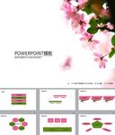 鲜花PPT   唯美PPT