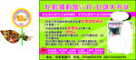 照相摄影海报