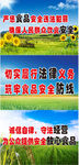 五谷杂粮