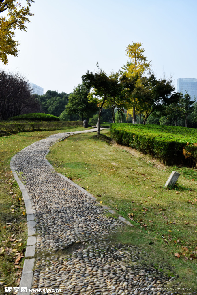 绿化小路