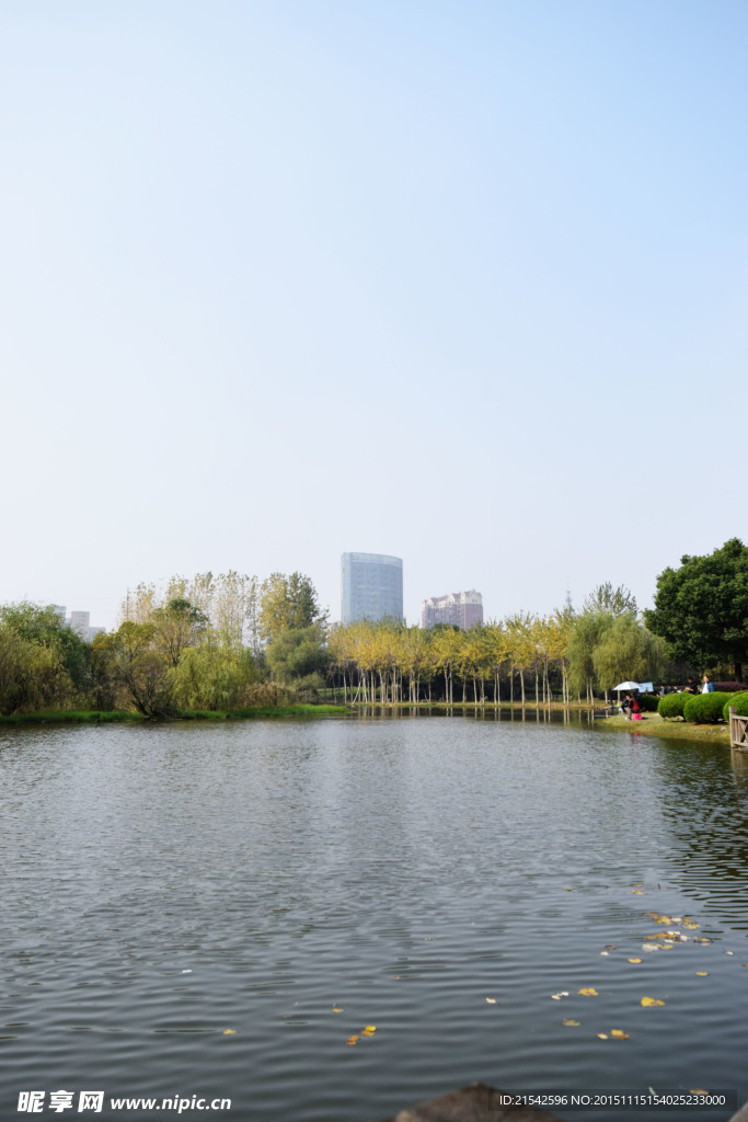 公园景色
