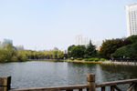 公园景色
