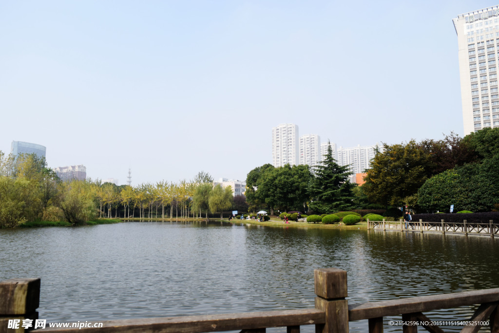 公园景色