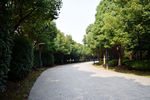 绿化小路