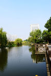 绿化城市