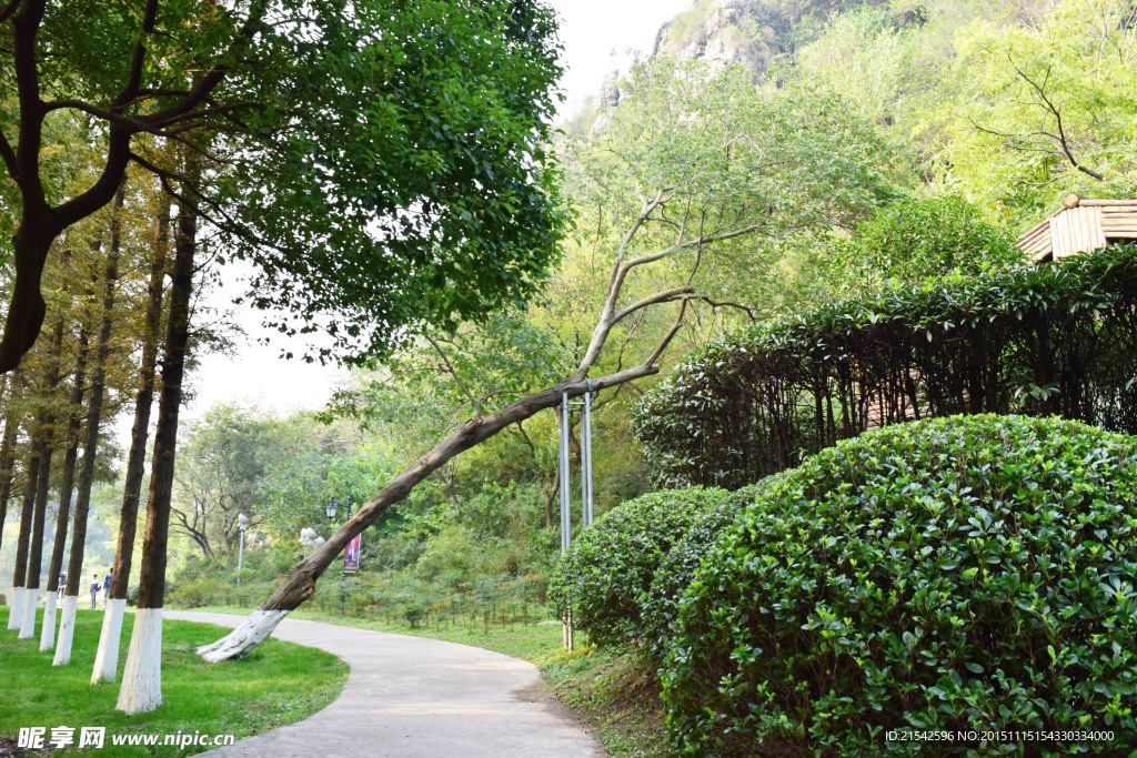 绿化小路