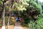 山间小路