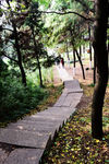 山间小路