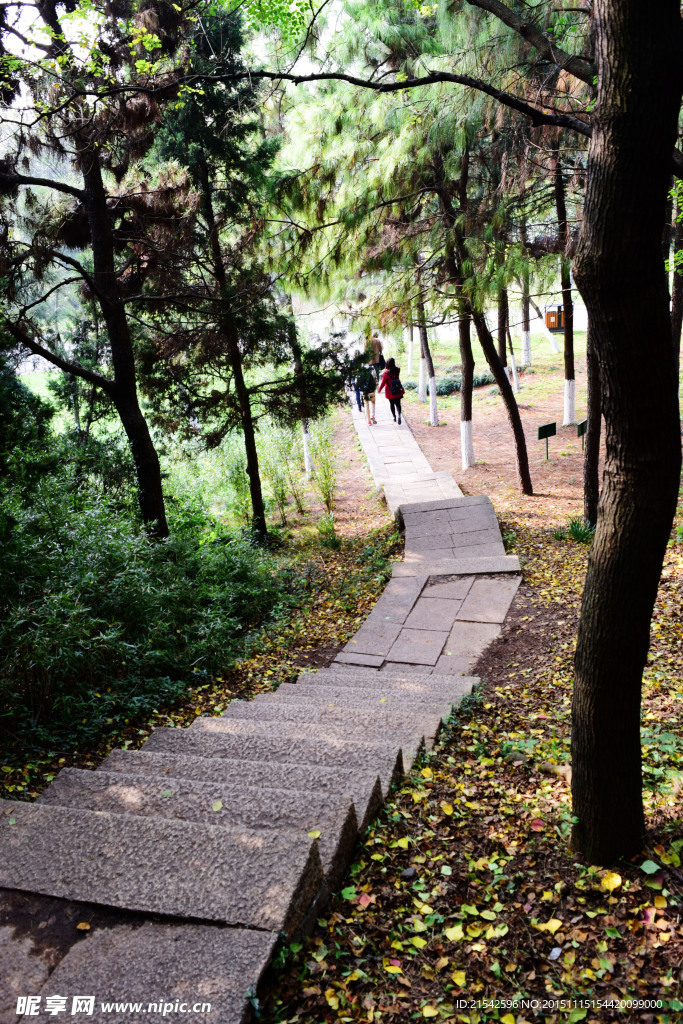 山间小路