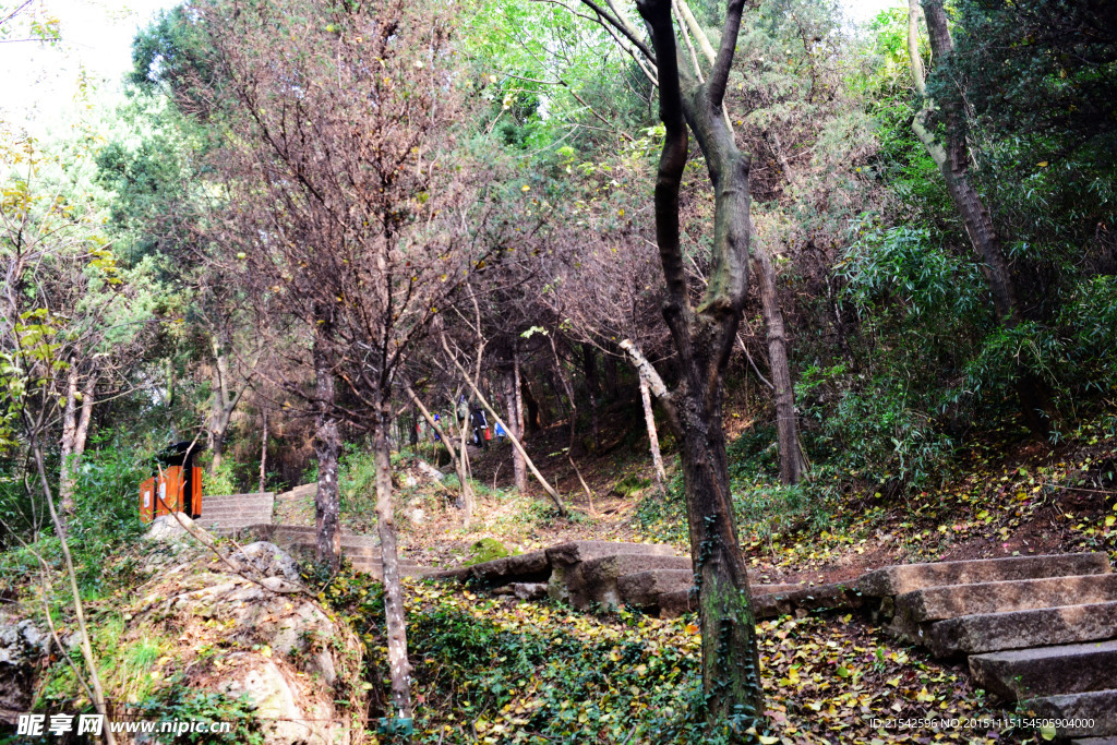 山间小路